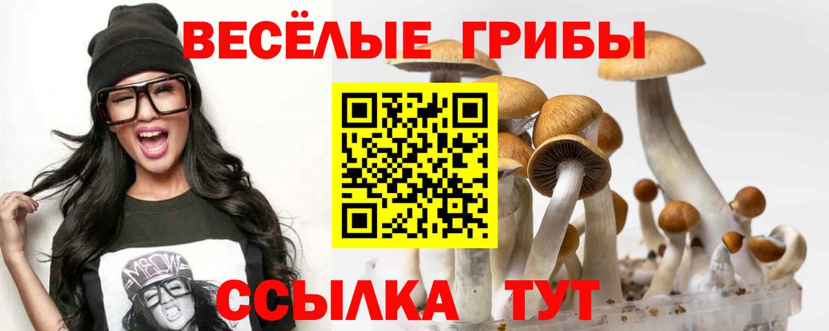 Псилоцибиновые грибы MAGIC MUSHROOMS Брянск